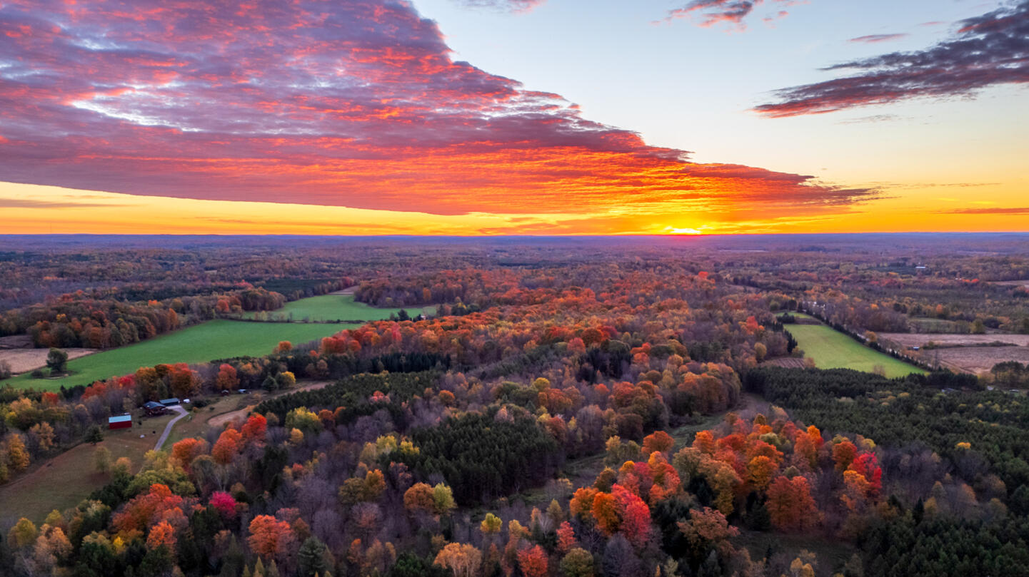 A sunrise above a forest at Fall